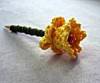 Daffodil Pencil (bouquets available)